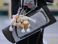 DM 043070 : Bogenschießen, Bogensport, Bogensportclub Worms-Pfeddersheim, Landesmeisterschaft PSSB, Sport