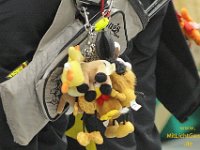 DM 043129 : Bogenschießen, Bogensport, Bogensportclub Worms-Pfeddersheim, Landesmeisterschaft PSSB, Sport